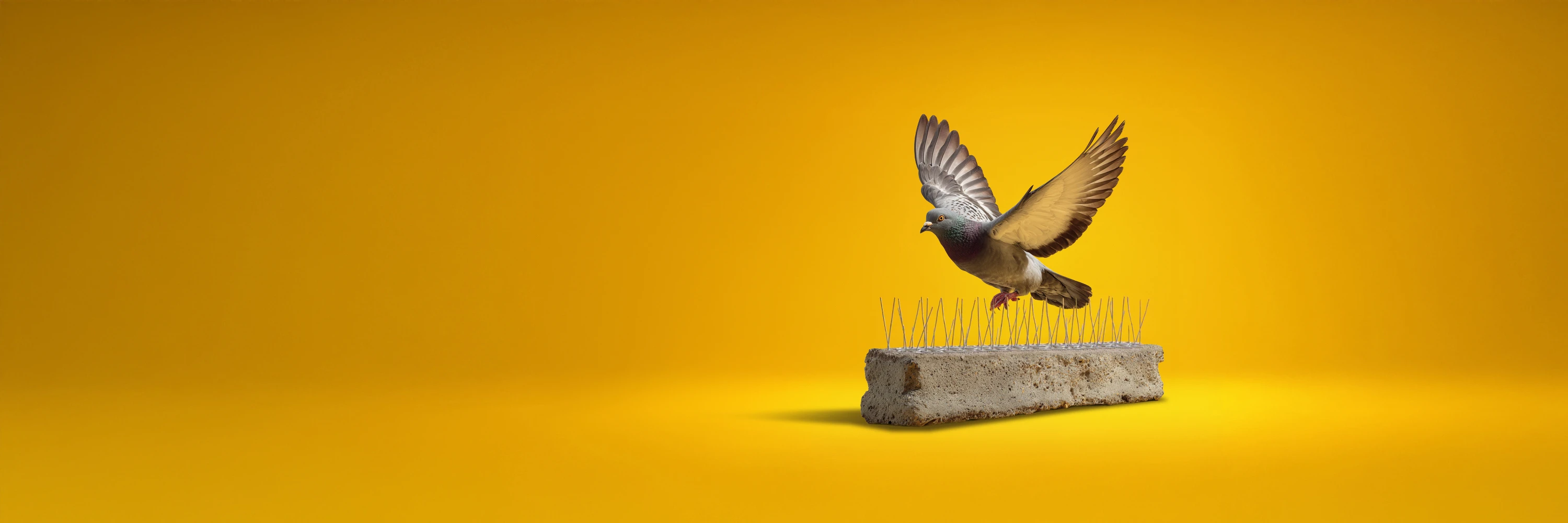 Illustration du service Anti-volatiles